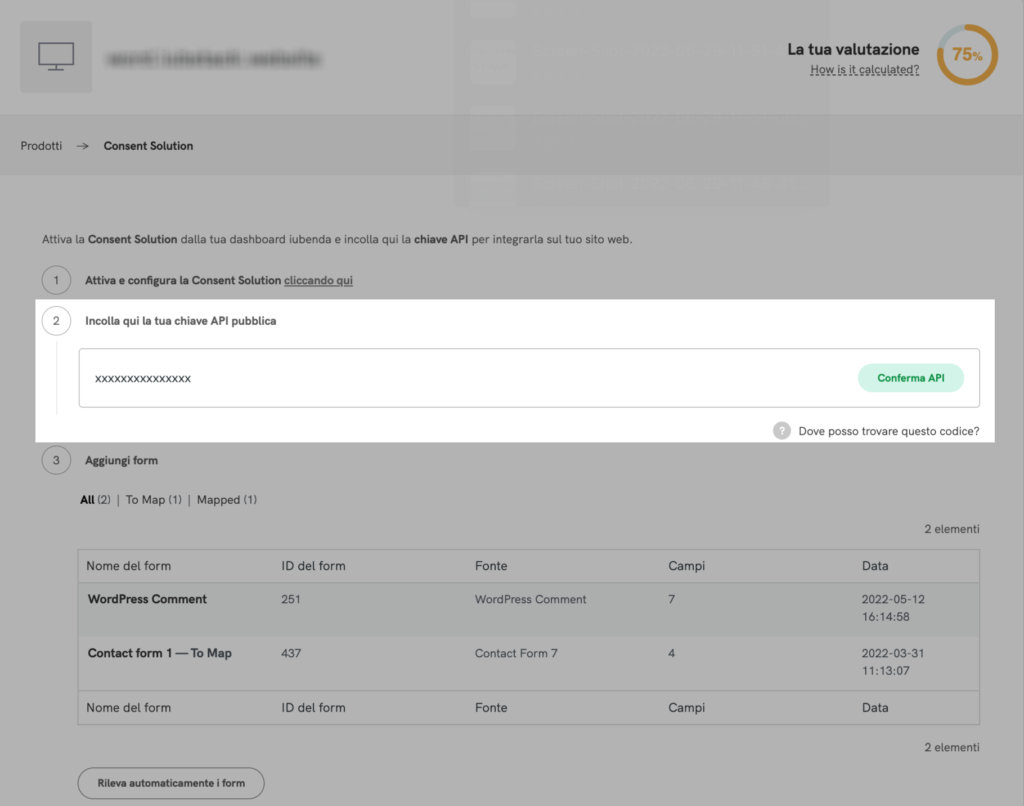 incolla chiave API