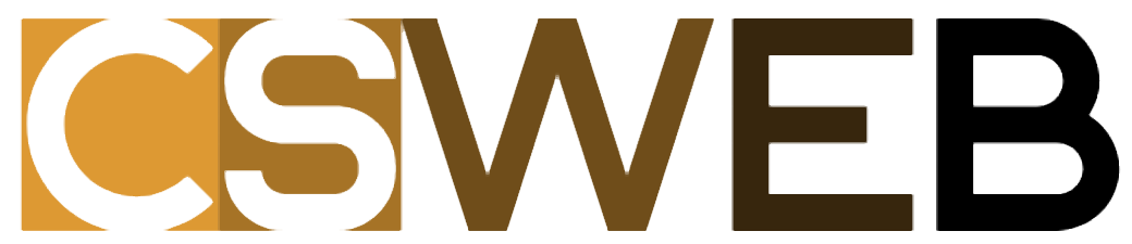 CS Consulting