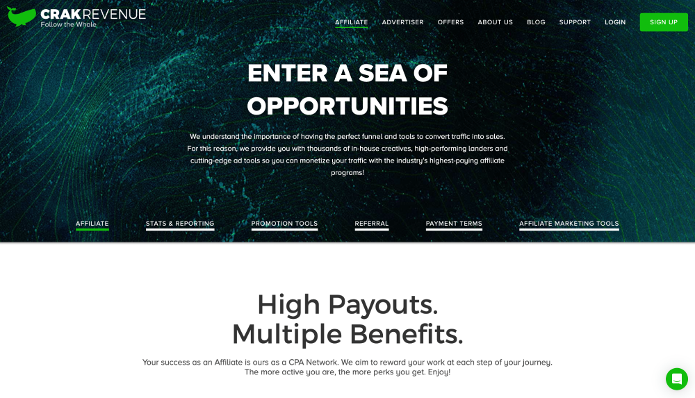 affiliate program