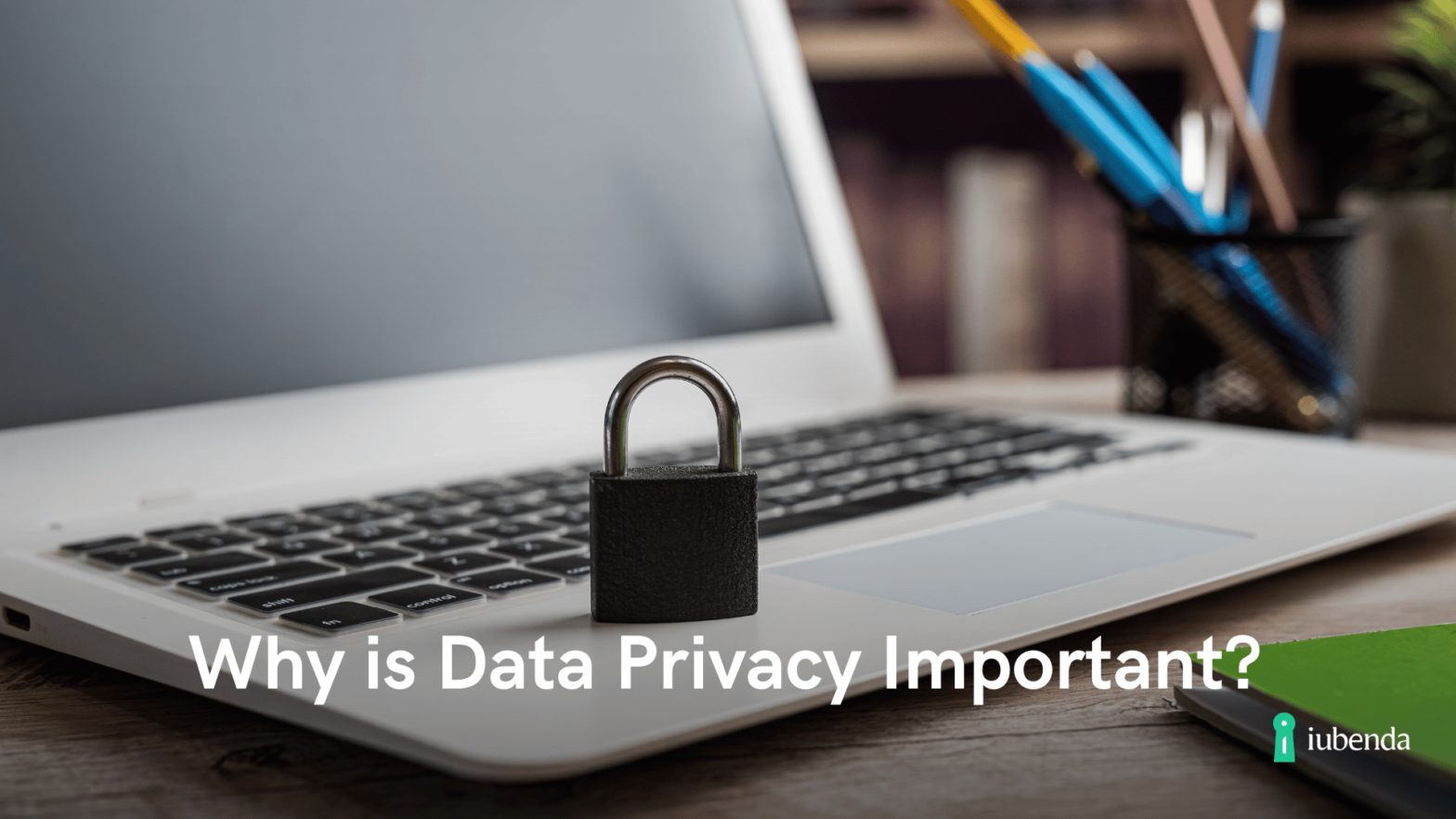 Why Is Data Privacy Important? A Guide for Individuals and Businesses