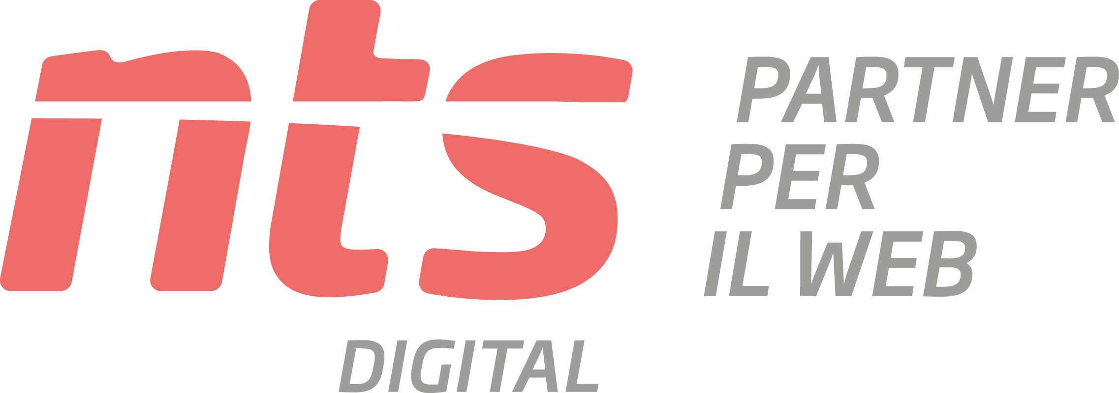 NTS Project spa
