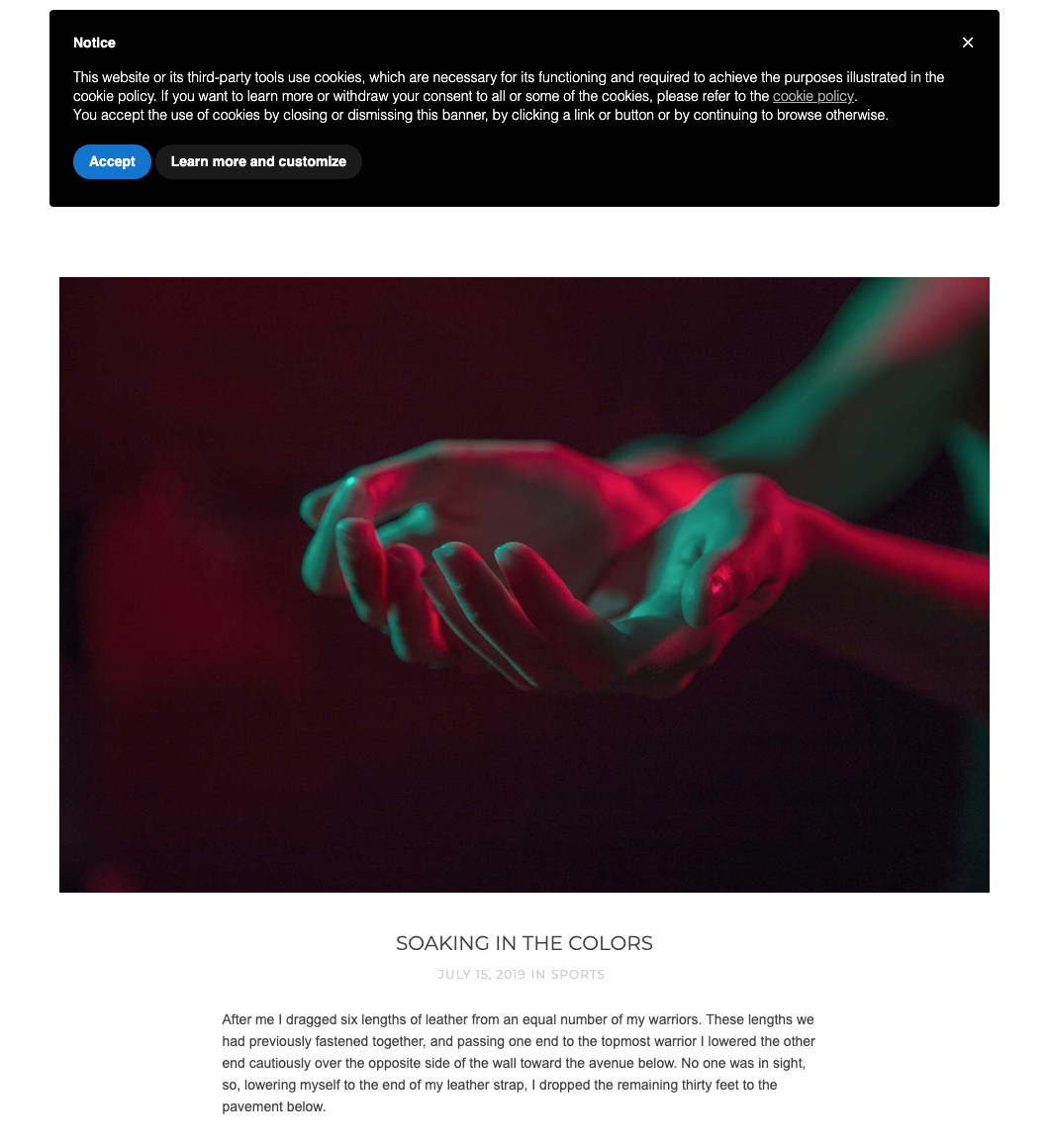 iubenda's cookie banner on a Webflow website