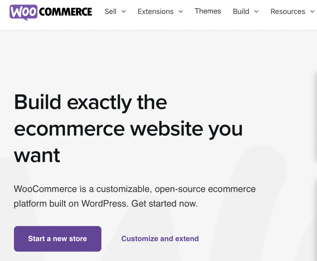 Most Popular Ecommerce Platforms